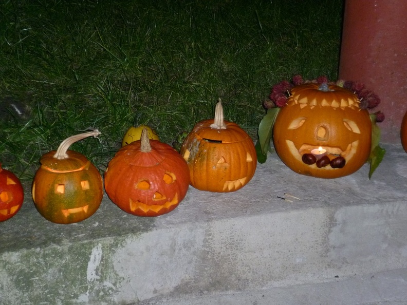 P1050002.JPG