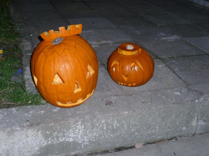 P1050004.JPG