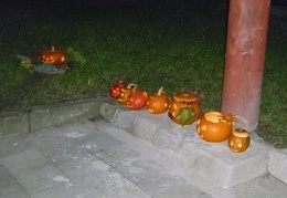 P1050006